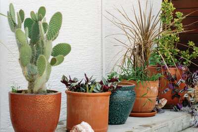 Pots and Planters