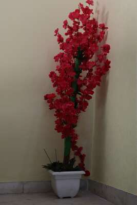 Artificial Plants & Flowers